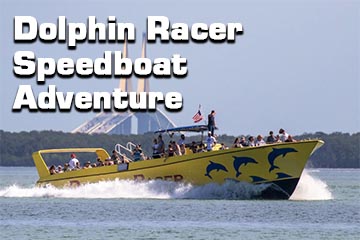 Dolphin Racer Speedboat Adventure