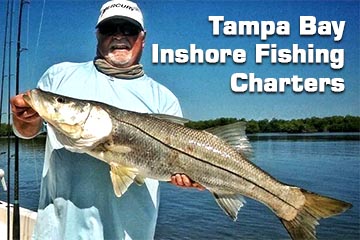 Tampa Bay Inshore Fishing Charters